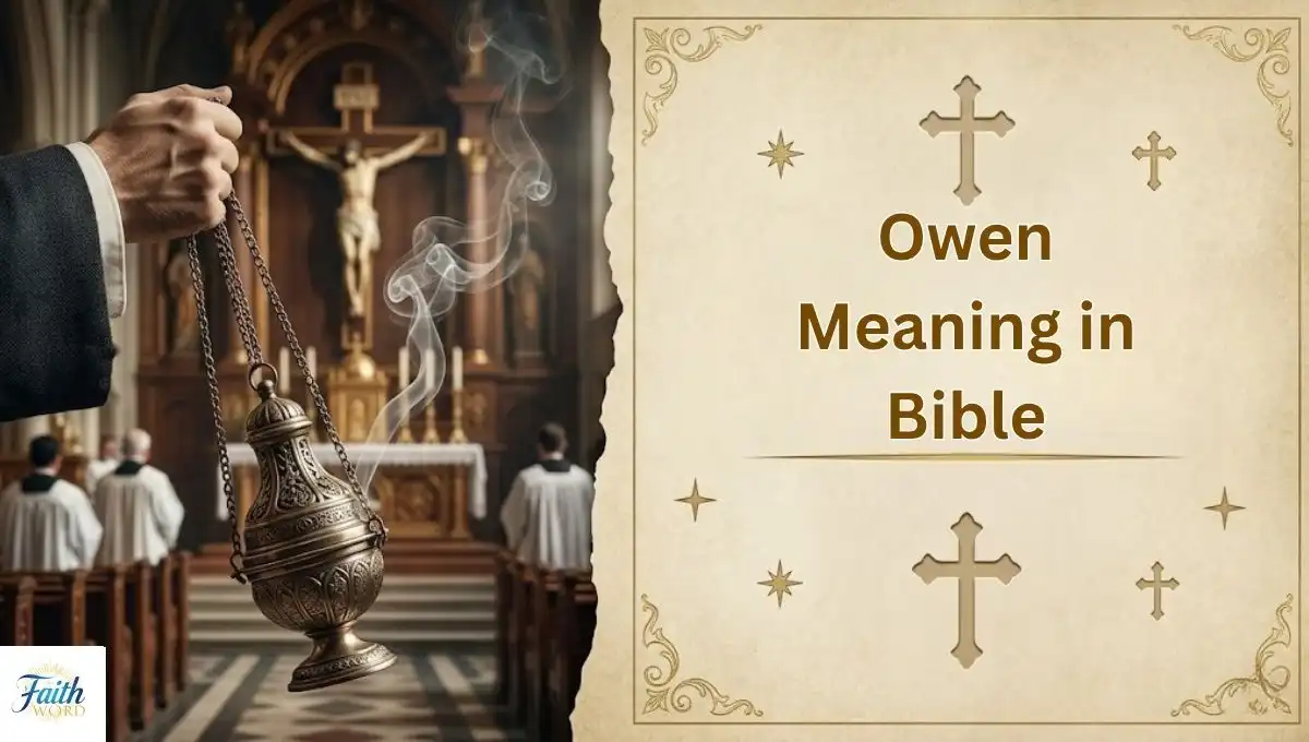 the faith bible (10) (2)