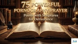 the faith bible (17)